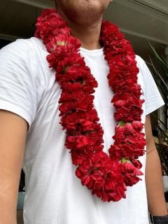 ϥ磻쥤֡ulaulaϥ磻쥤ֿ֡͡Υեå쥤󥰥쥤 £ʪˤ⤪ᡣä˴Τˤˤᡣ