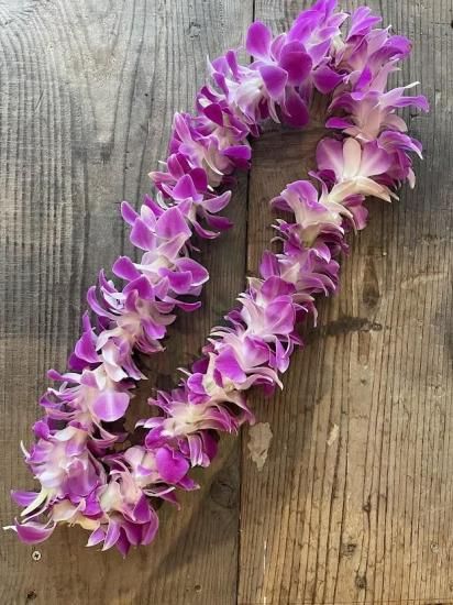 Okika Lei デンファレのフレッシュレイ。 贈り物にもおすすめ。 - 三重