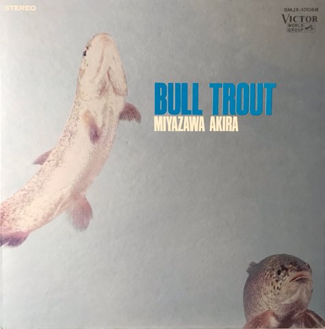 宮沢昭 Akira Miyazawa / いわな Bull Trout / JP Original