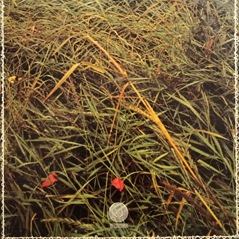 LP Ian Carr / Belladonna / UK Original - レコード・ショップ