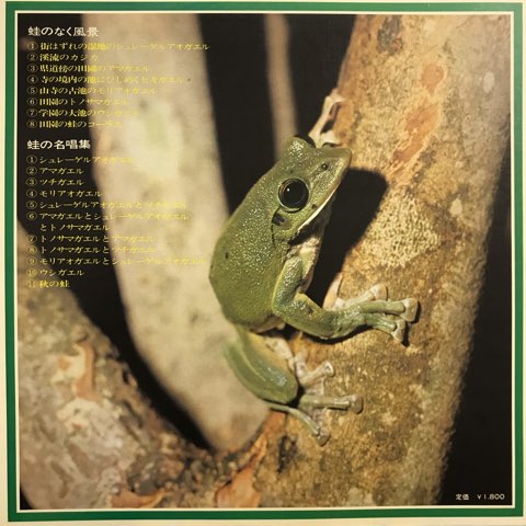 LP 蛙の歌 谷川と古池と田園のカンタータ The Calls Of The