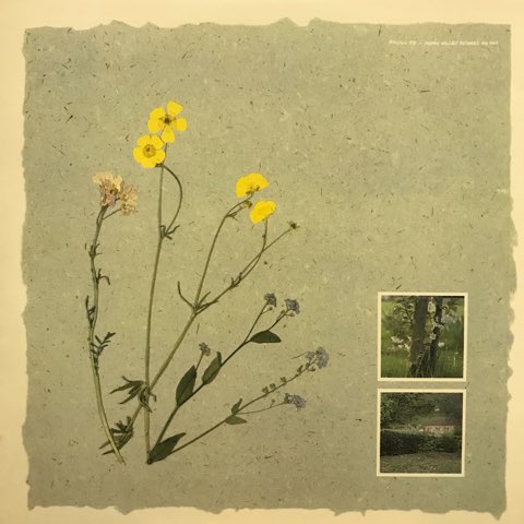 LP Virginia Astley / From Gardens Where We Feel Secure / UK Original - レコード・ショップ ciruelo records(シルエロレコード ) LP Virginia Astley / From Gardens Where We Feel Secure / UK Original - レコード・ショップ ciruelo records(シルエロレコード )