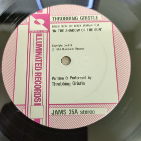 LP Throbbing Gristle / In The Shadow Of The Sun / UK