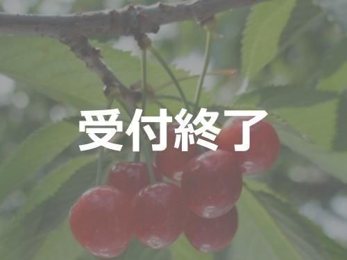 R7ǯսλڤդ뤵ȥåԥ󥰡¼ܡȽХ(:)㤪Ϥ6ܺ<img class='new_mark_img2' src='https://img.shop-pro.jp/img/new/icons62.gif' style='border:none;display:inline;margin:0px;padding:0px;width:auto;' />