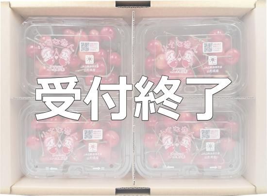 R7ǯսλڤդ뤵ȥåԥ󥰡ֻ򻺤ܡƣӡ800gLʾ㤪Ϥ6ܺ<img class='new_mark_img2' src='https://img.shop-pro.jp/img/new/icons62.gif' style='border:none;display:inline;margin:0px;padding:0px;width:auto;' />
