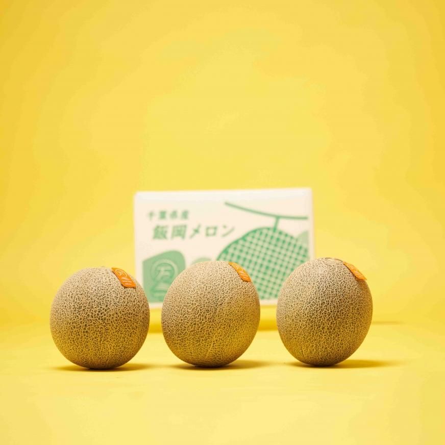 2022年度事前予約受付中】飯岡メロン 赤肉 4Lサイズ×3玉セット(横幅:約15cm) 2022年度事前予約受付中】飯岡メロン 赤肉 4Lサイズ×3玉セット(横幅:約15cm)