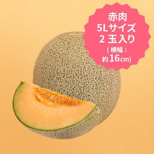 2024年度事前予約受付中】飯岡メロン 赤肉 5Lサイズ×2玉セット 2024年度事前予約受付中】飯岡メロン 赤肉 5Lサイズ×2玉セット
