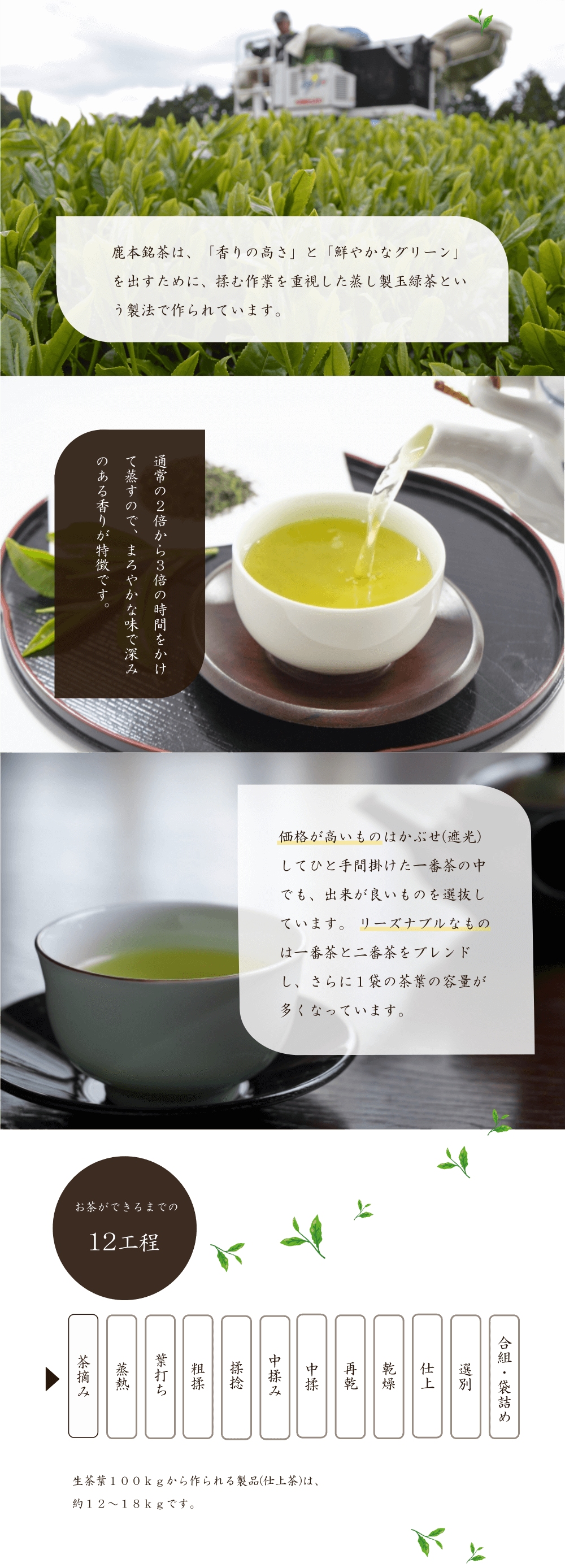 「香りの高さ」と「鮮やかなグリーン」を出すために、揉む作業を重視した蒸し製玉緑茶という製法で作られています