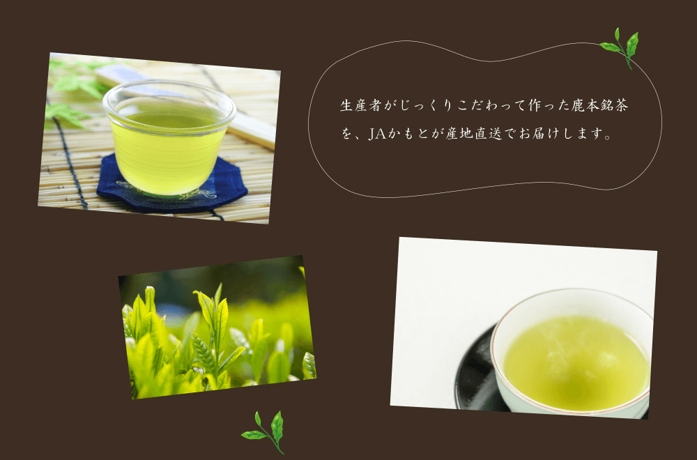 生産者がじっくりこだわって作った鹿本銘茶を、JAかもとが産地直送でお届けします。