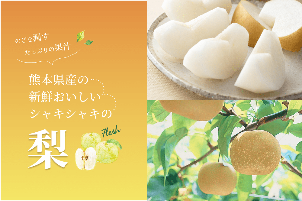 熊本県産の新鮮おいしいシャキシャキの梨です。収穫したての梨をＪＡかもとがおとどけします