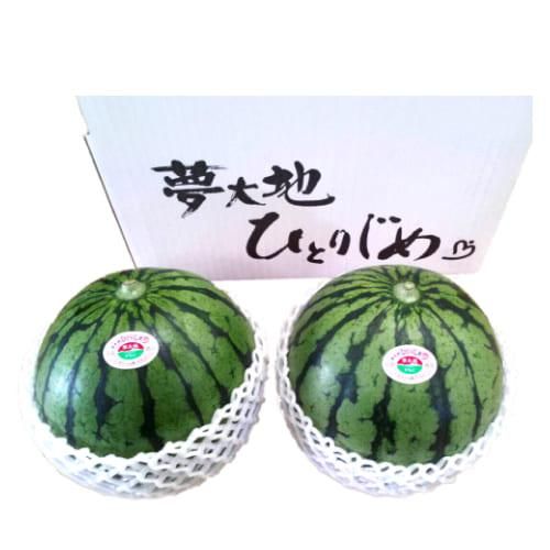 JAかもと】熊本県産 小玉すいか「ひとりじめ」 2Lサイズ2玉入り JAかもと】熊本県産 小玉すいか「ひとりじめ」 2Lサイズ2玉入り