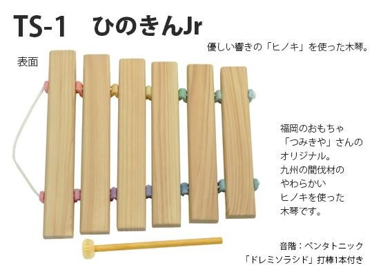TS-1 ひのきんJr - 知育玩具通販専門店 patata SHOP