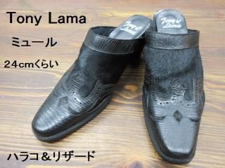 ȥˡޡϥ饳ꥶɡߥ塼롡8M24.0cm餤