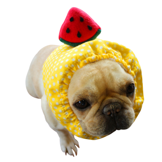 冷やし犬ヅラ イエロー 夏トッピング 犬ヅラ屋 冷やし犬ヅラ イエロー 夏トッピング 犬ヅラ屋