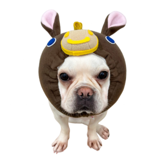 <img class='new_mark_img1' src='https://img.shop-pro.jp/img/new/icons1.gif' style='border:none;display:inline;margin:0px;padding:0px;width:auto;' />2026ٸʤޡ˸ť