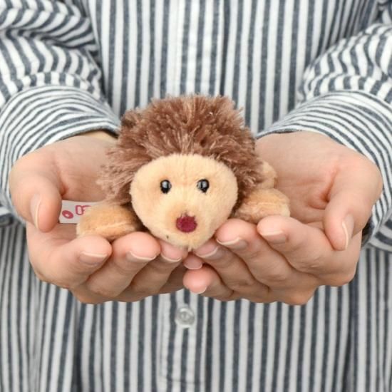 NICI ハリネズミ ぬいぐるみ 約50cm 楽天市場】【日本正規代理店】NICI(ニキ) ハリネズミ ホーガン