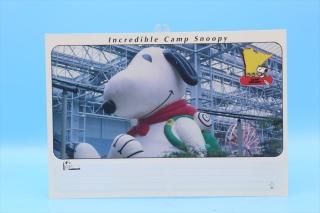 Incredible camp snoopy Post Card/ץ̡ԡ